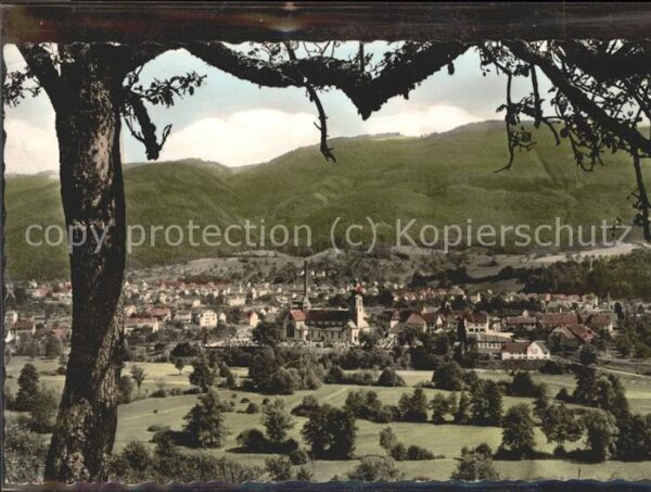 Wehr Panorama