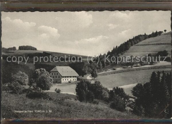Nesselachen Schwarzwald ---