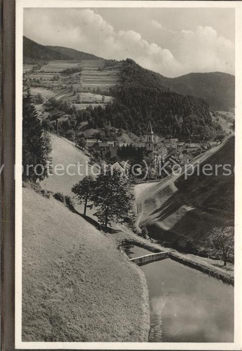 Zell Wiesental Blick vom Kühllochweg