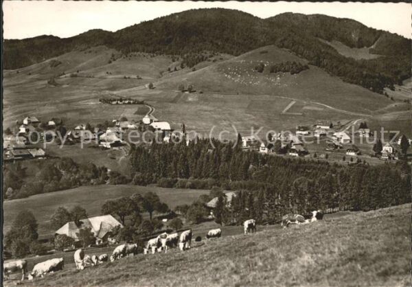 Bernau Schwarzwald ---