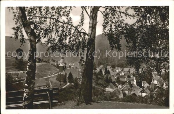 Wildemann Blick von den drei Birken