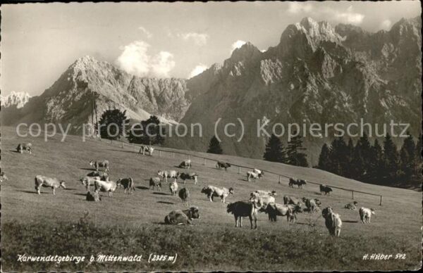 Mittenwald Bayern Karwendelgebirge Alm Kühe