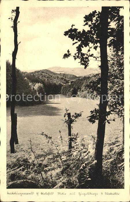 Teutoburgerwald Motive aus Spiegelberge