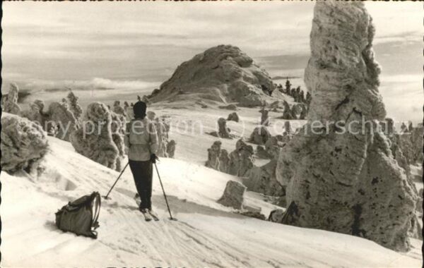 Regen Arber Ostgipfel Skifahrer