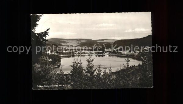 Titisee-Neustadt Titisee Panorama
