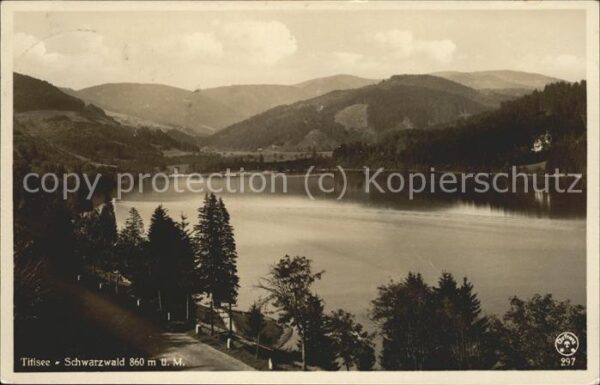 Titisee-Neustadt Titisee Panorama