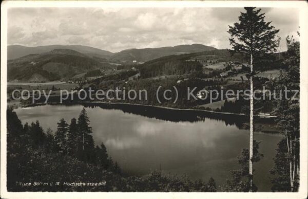 Titisee-Neustadt Titisee Panorama