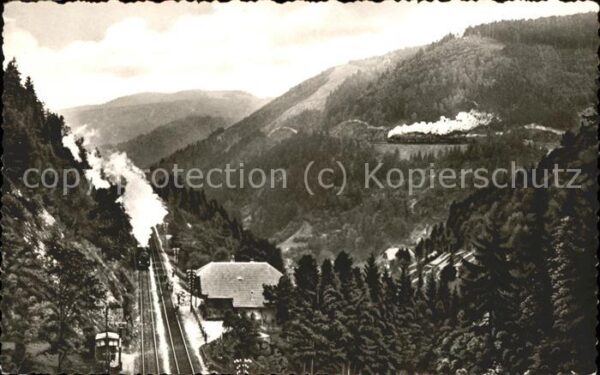 Schwarzwald Schwarzwaldbahn Eingang in den Haldentu
