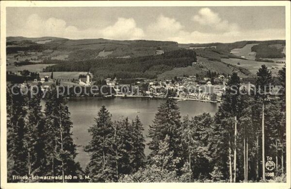 Titisee-Neustadt Titisee Panorama
