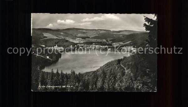 Titisee-Neustadt Seepanorama