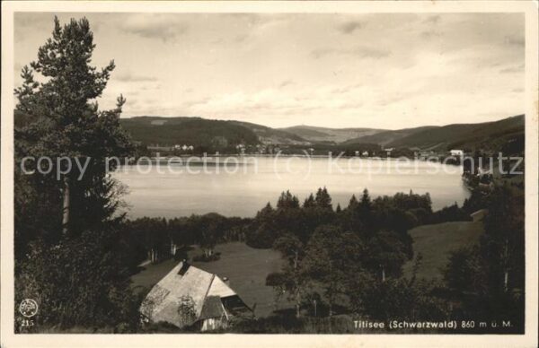Titisee Seepanorama