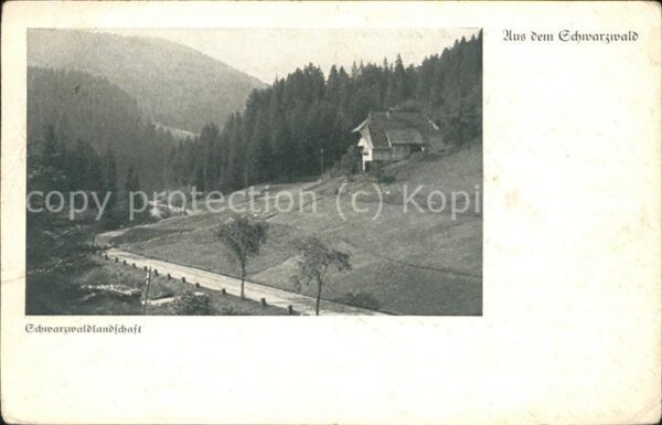 Calw Schwarzwaldlandschaft