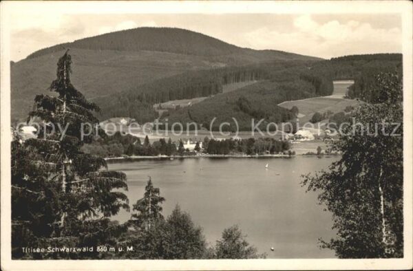 Titisee Seepanorama