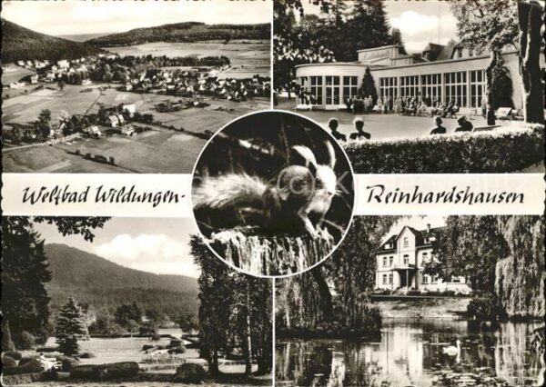 Bad Wildungen Panorama Kurhaus Park Eichhörnchen