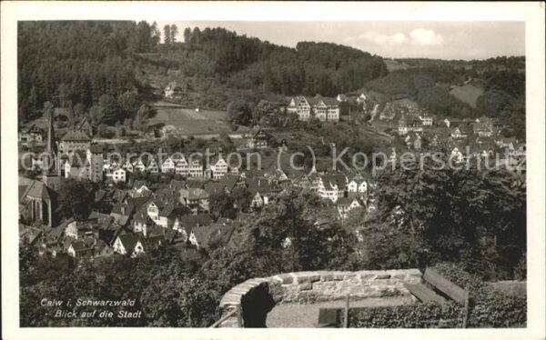 Calw Stadtblick