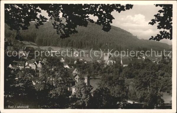 Bad Liebenzell Teilansicht