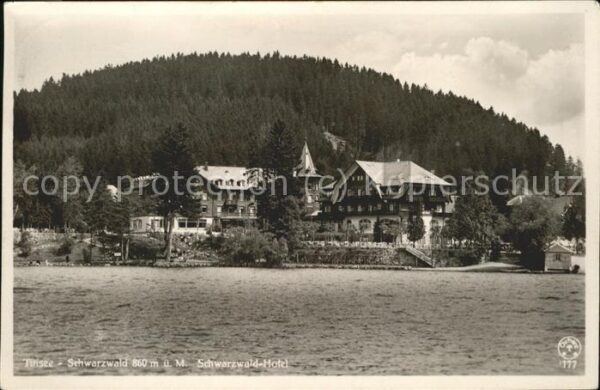 Titisee Seepanorama Schwarzwaldhotel