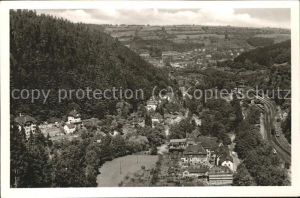 Calw Panorama