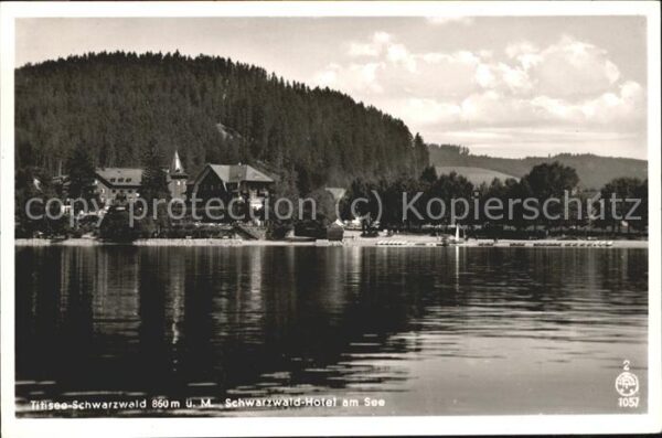 Titisee Seepanorama mit Schwarzwald Hotel am Se