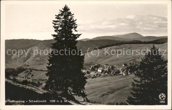 Todtnauberg Panorama mit Belchen