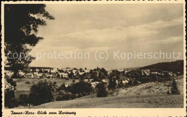 Tanne Harz Blick vom Harteweg