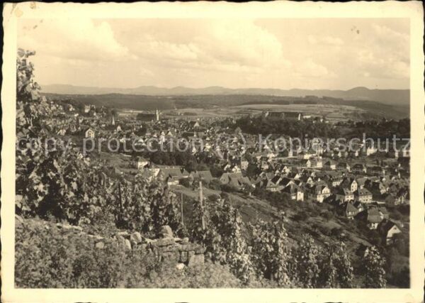 Tuebingen Panorama