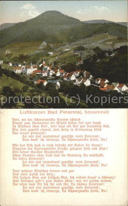 Bad Peterstal-Griesbach Ortsansicht