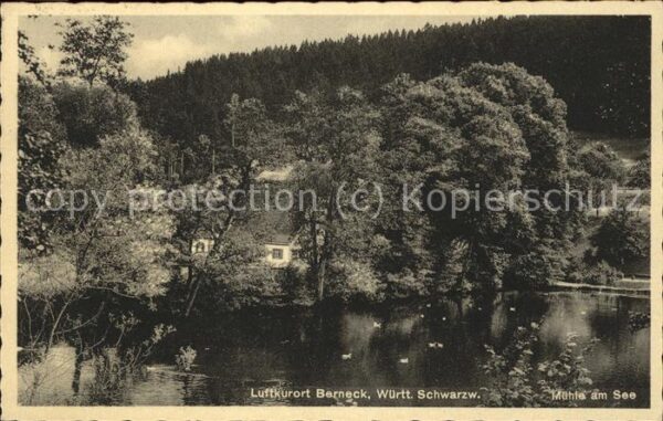 Berneck Altensteig Mühle am See
