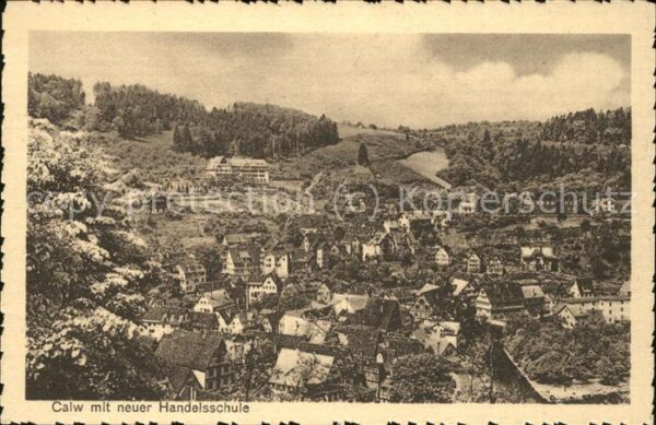 Calw Panorama mit neuer Handelsschule