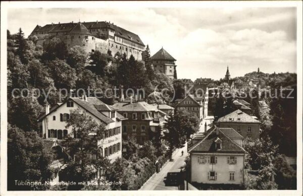Tuebingen Neckarhalde mit Schloss