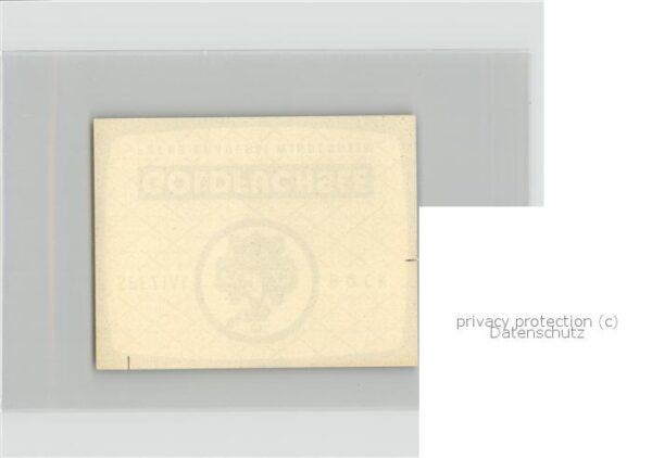 Windesheim Goldfüchsle Fuchs-Brauerei – Bild 2