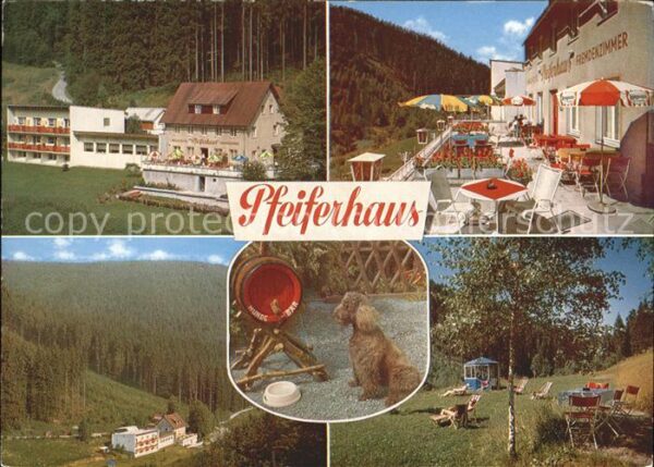 Warmensteinach Pfeiferhaus