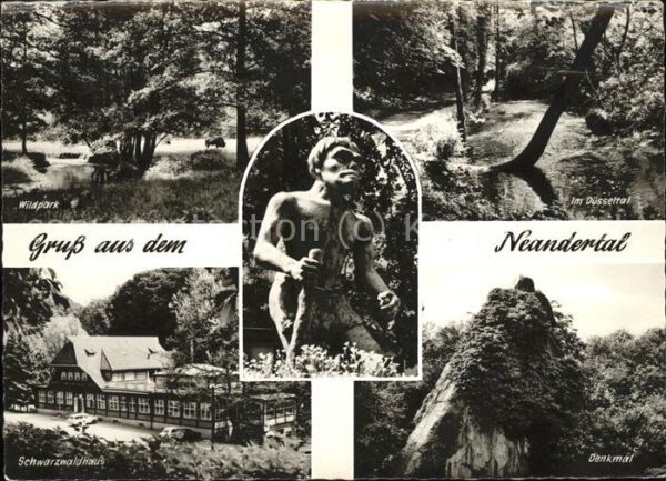 Neandertal Wildpark Schwarzwaldhaus