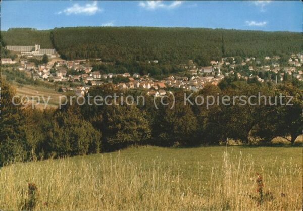 Bad Bocklet Panorama Kurklinik