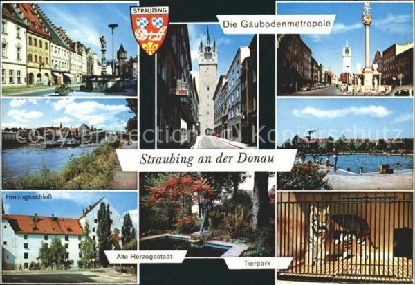 Straubing Gäubodenmetropole Herzogschloss Tierpar