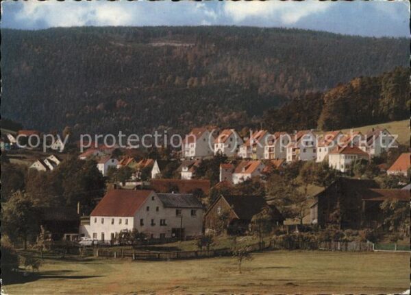Friedenfels Ortsansicht