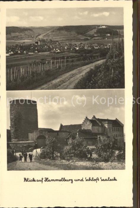 Hammelburg Totalansicht und Schloss Saaleck