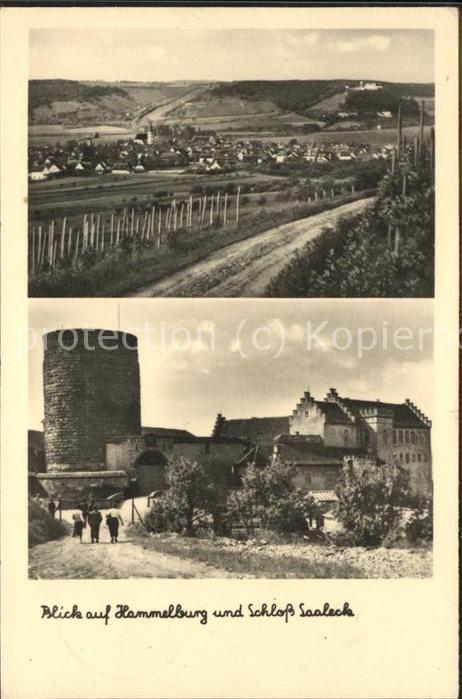 Hammelburg Totalansicht und Schloss Saaleck