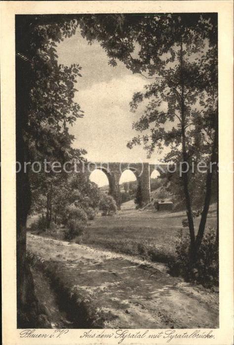 Plauen Vogtland Syratal mit Brücke