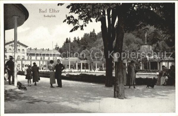 Schwimmen Bad Ellter Badepark