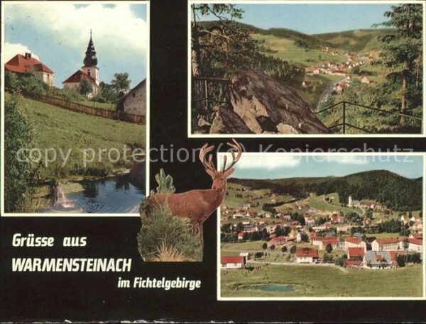 Warmensteinach Fichtelgebierge Luftkurort Hirsch