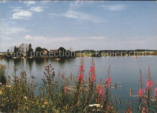 Fichtelgebirge Blick auf den See Blumen