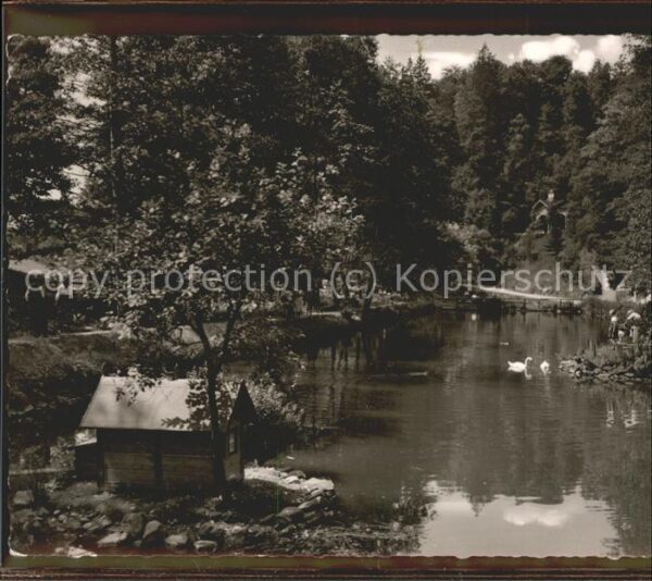 Bad Berneck Schwanenweiher Fichtelgebirge