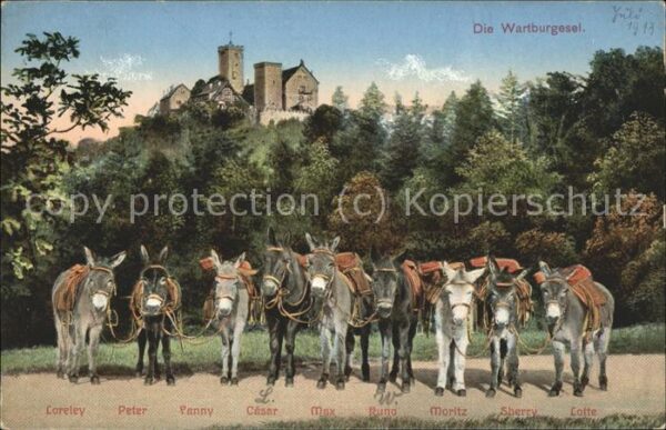 Eisenach Thueringen Wartburgesel
