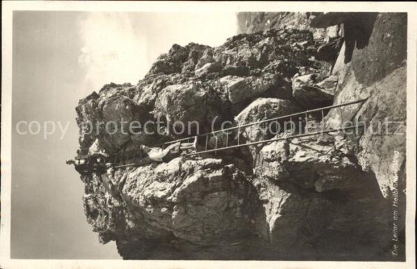 Heilbronn Neckar Leiter Felsen
