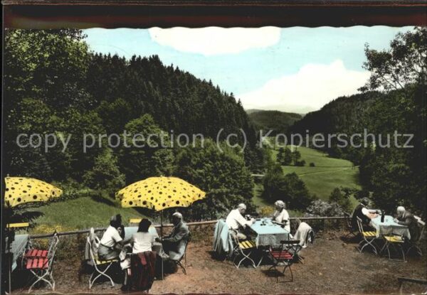 Bad Berneck Burgschenke Zum Ritter von Stein  Ficht