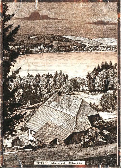 Titisee Seepanorama
