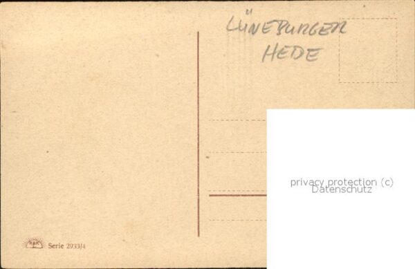 Lueneburger Heide Heidelandschaft – Bild 2