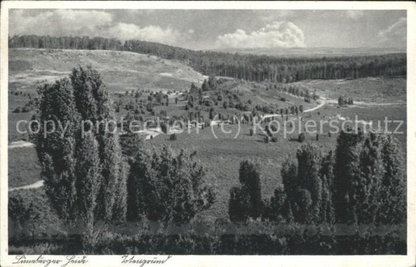 Lueneburger Heide Totengrund
