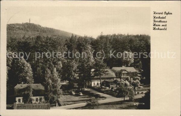 Oybin Kurhotel Forsthaus Hain mit Hochwald